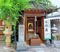 Taoist Temples